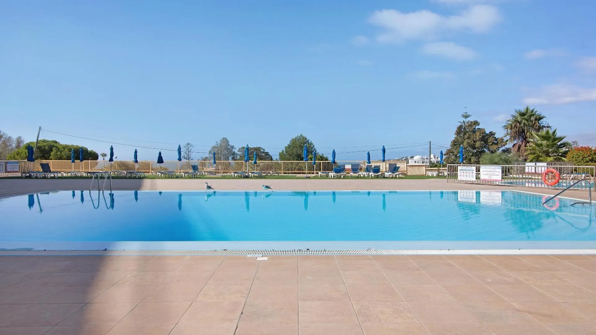 Barracuda Oura Dream Apartment Albufeira
